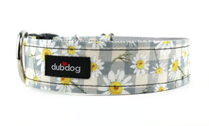 Dub Dog - Daisy Mae