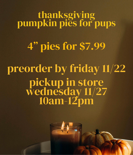 PREORDER - Pumpkin Pies for Pups