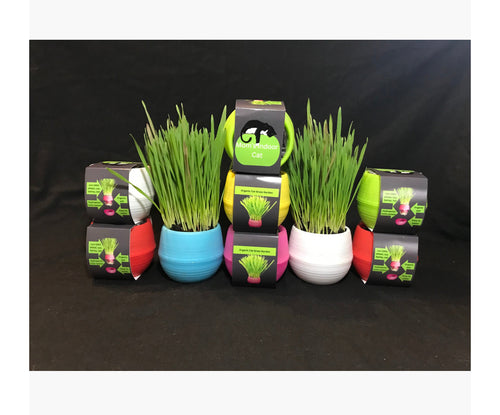 Mom’s Indoor Cat - Cat Grass Kit