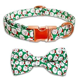 Christmas Collar with Removable Bow Tie