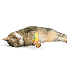 Load image into Gallery viewer, Lulubelles - Fuzzy Seltzer Rainbow Catnip Toy