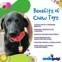 Load image into Gallery viewer, SodaPup - Nylon Cherry Pie Chew Toy