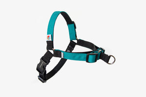 Wildebeest - No-Pull Dog Harness