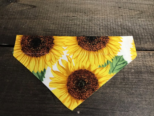 Kathy - Sunflower