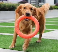Load image into Gallery viewer, Threaded Pear - Dog Ring Toy