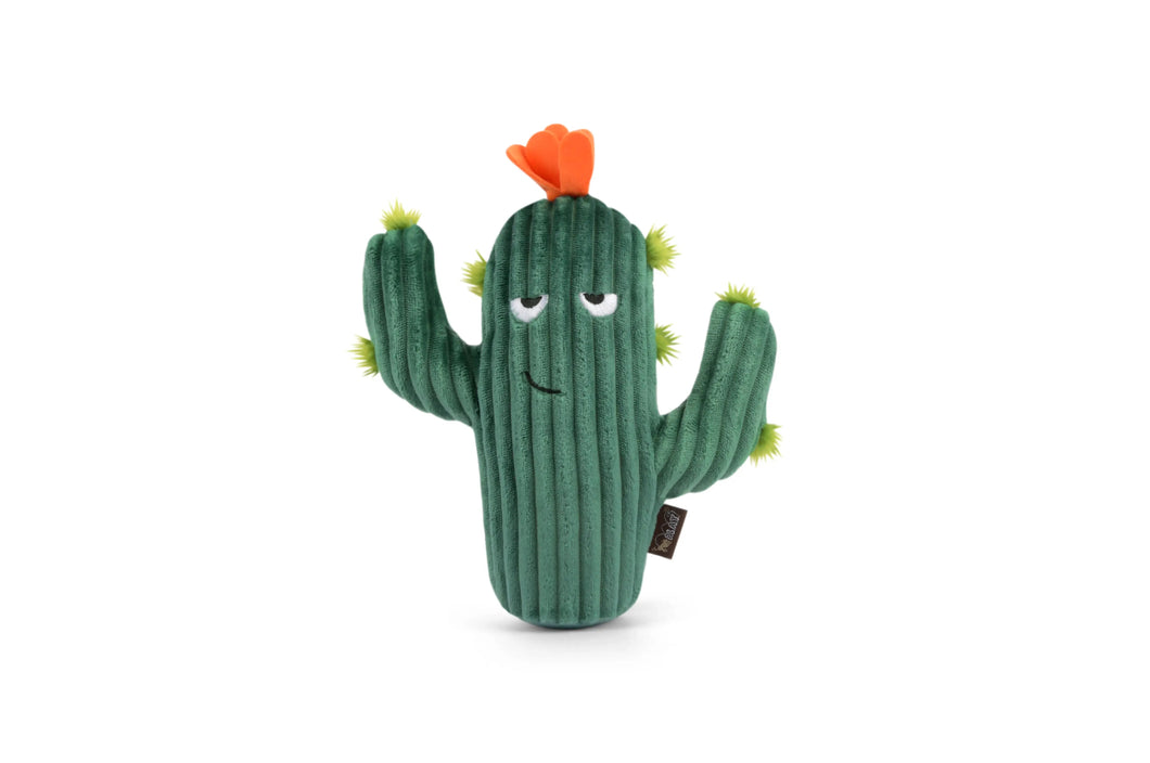 P.L.A.Y. Pet Lifestyle and You - Prickly Pup Cactus