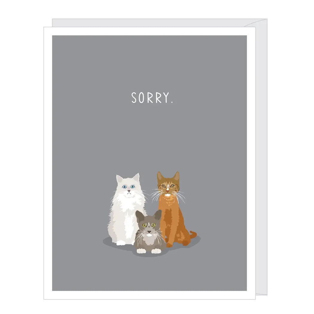Apartment 2 Cards - Sorry Cats