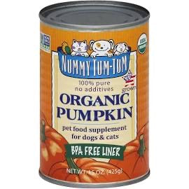 Nummy Tum-Tum - 15oz 100% Organic Pumpkin