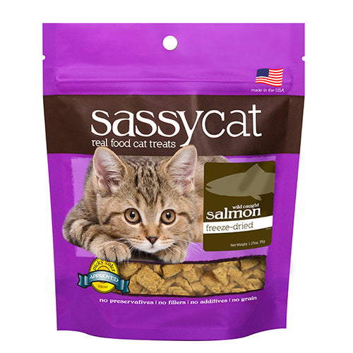 Sassy Cat- Salmon